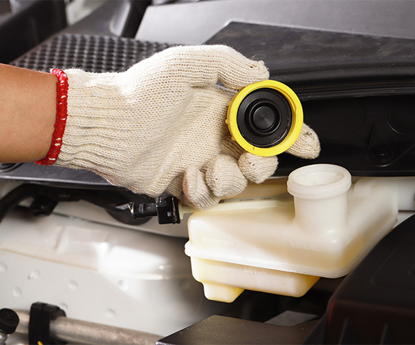 Brake Fluid Change